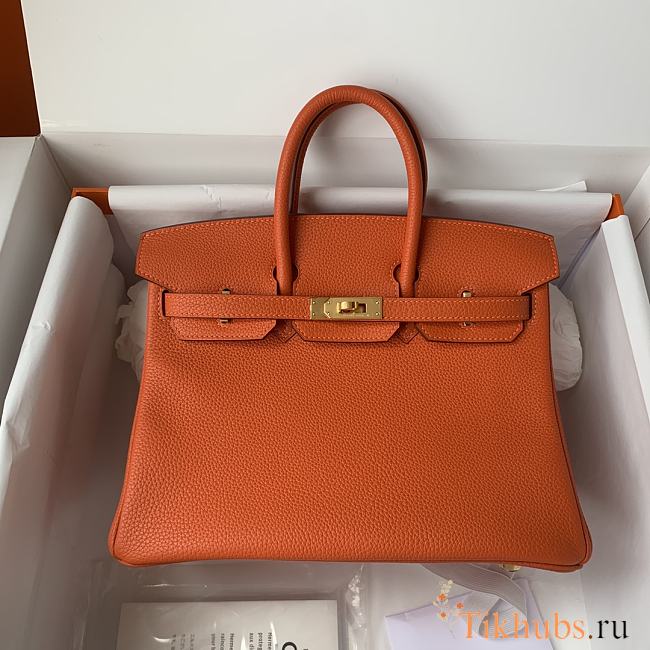 Hermès Birkin bag in Terre Battue Togo leather with gold hardware  25cm - 1