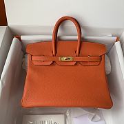 Hermès Birkin bag in Terre Battue Togo leather with gold hardware  25cm - 1