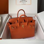 Hermès Birkin bag in Terre Battue Togo leather with gold hardware  25cm - 6