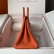 Hermès Birkin bag in Terre Battue Togo leather with gold hardware  25cm - 5