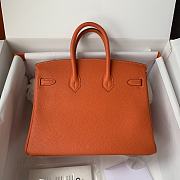 Hermès Birkin bag in Terre Battue Togo leather with gold hardware  25cm - 4
