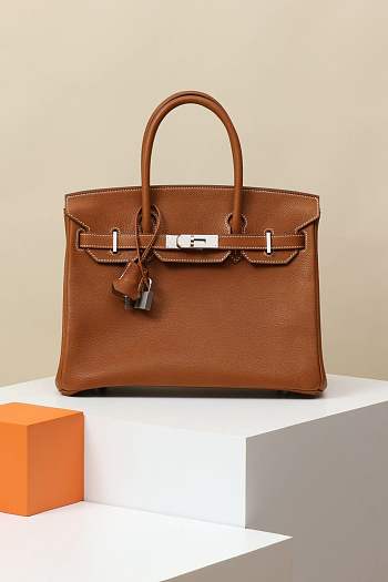 Hermes Birkin 25 Gold Togo with silver Hardware
