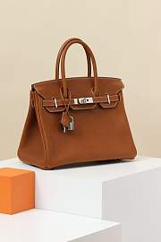 Hermes Birkin 25 Gold Togo with silver Hardware - 6