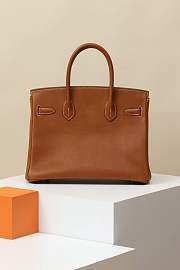 Hermes Birkin 25 Gold Togo with silver Hardware - 4