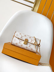 Louis Vuitton Pochette Camille bag in the Monogram Dune coated canvas 11x6x20.5 cm - 1