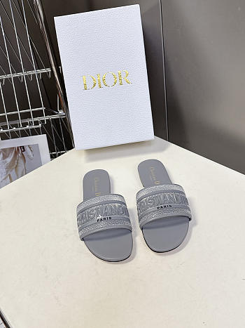 Christian Dior Dway slides in grey