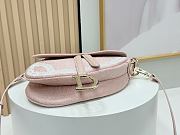 Dior Small Saddle Bag featuring Rose 24×16×18cm - 4