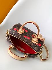 Louis Vuitton x Takashi Murakami Monogram Cerises Speedy Bandoulière 20 13.5 x 12 x 20.5 cm - 4