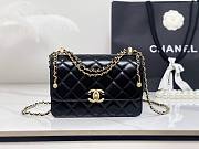  Chanel Double Gold Ball 22 bag 22 cm - 1