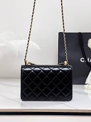  Chanel Double Gold Ball 22 bag 22 cm - 5