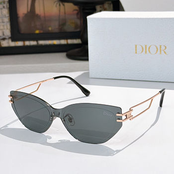 Dior Glasses 11