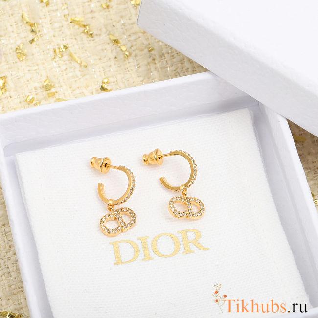 Dior Clair D Lune Earrings - 1