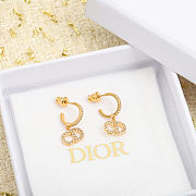 Dior Clair D Lune Earrings - 1