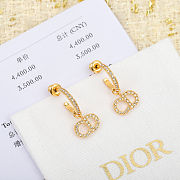 Dior Clair D Lune Earrings - 6
