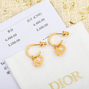 Dior Clair D Lune Earrings - 4