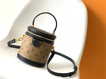Louis Vuitton Cannes Monogram Reverse M43986