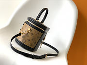 Louis Vuitton Cannes Monogram Reverse M43986 - 3