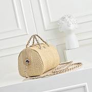 CHANEL Classic Clutch With Chain Braided Raffia & Gold Tone Metal 19x11x7cm - 6