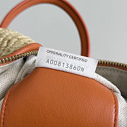 Bottega Veneta Loop Top Handle Bag in Raffia and Leather 19x12x9cm - 4