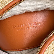 Bottega Veneta Loop Top Handle Bag in Raffia and Leather 19x12x9cm - 2