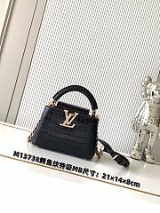 Louis Vuitton Capucines Mini 21x14x8cm - 1