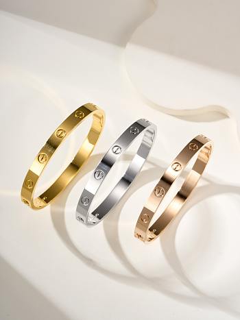 Cartier Bracelet Single Screw Silver 6.1 mm