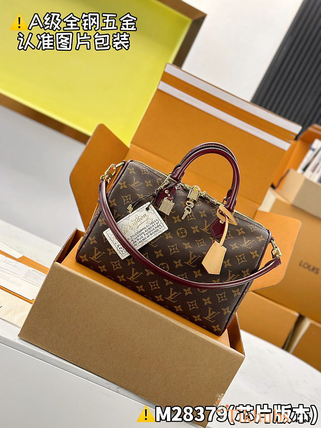 Louis Vuitton Speedy 30 Soft Celebration 30 x 21 x 17 cm - 1