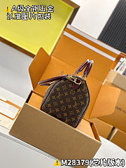 Louis Vuitton Speedy 30 Soft Celebration 30 x 21 x 17 cm - 6