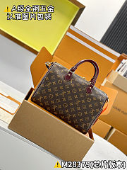 Louis Vuitton Speedy 30 Soft Celebration 30 x 21 x 17 cm - 3