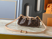 Louis Vuitton Nano Frivole 24 x 13 x 8 - 2