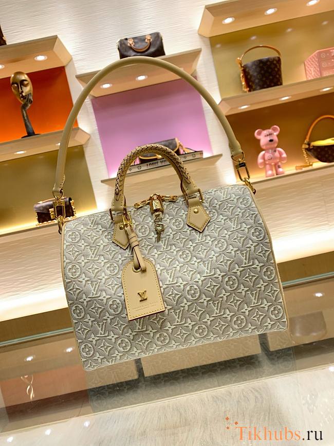 Louis Vuitton Speedy Soft 30 Bag 30x21x17cm - 1