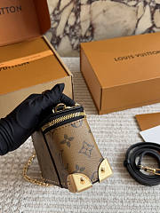 Louis Vuitton Vanity Pouch Trunk 24x11cm - 6