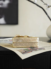 Chanel Minaudiere 2.55 Mini Silver Bag - 3