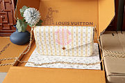 Louis Vuitton Pochette Félicie 21 x 12 x 3 cm - 1