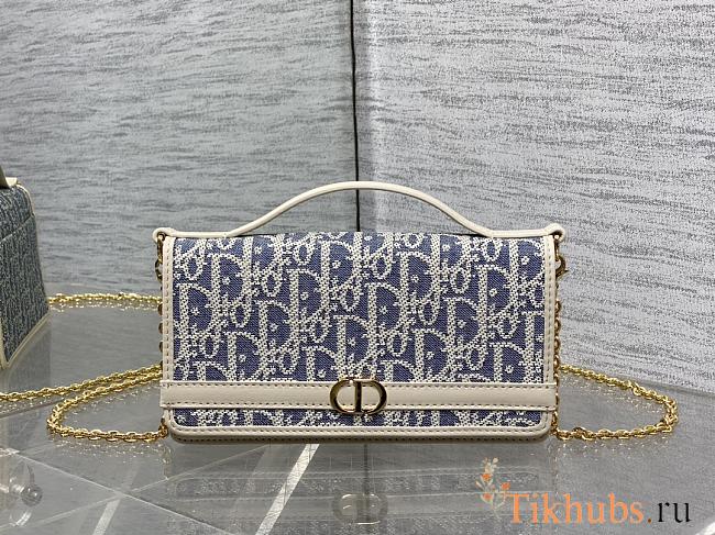 Christian Dior Oblique Chambray 30 Montaigne Cigale Pouch 20.5x11x5cm - 1