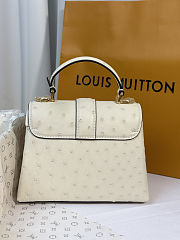Louis Vuitton Rose des Vents White Bag 19cm - 6