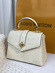 Louis Vuitton Rose des Vents White Bag 19cm - 2