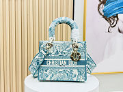 Christian Dior Medium Lady D-Lite Toile de Jouy Blue Bag 24cm - 1