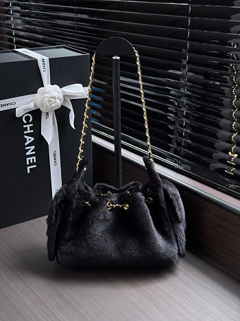  Chanel Pony Hair Mini Chanel 25 Handbag 20x22x12.5cm