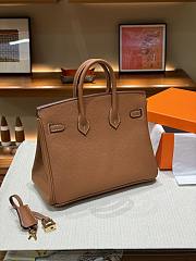 Hermes Birkin 25 Togo Leather Gold with Gold Hardware 25x20x13 - 6