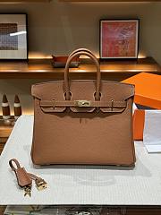 Hermes Birkin 25 Togo Leather Gold with Gold Hardware 25x20x13 - 5